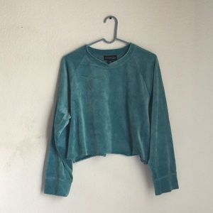 Blue velvet cropped sweater